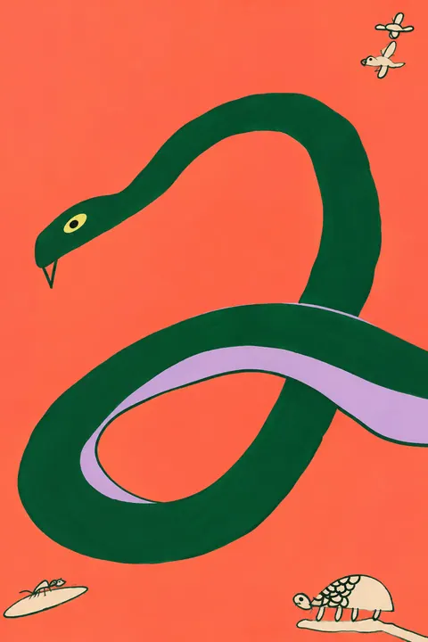 Coiled Harmony